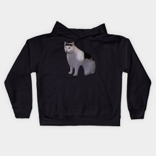 Huh Cat Meme Kids Hoodie